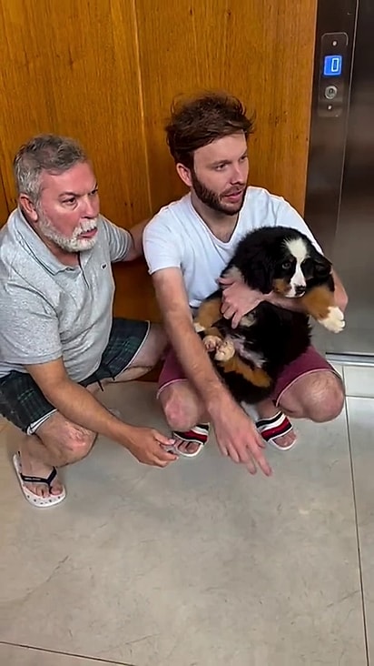O casal soube apresentar a nova cachorrinha com calma.