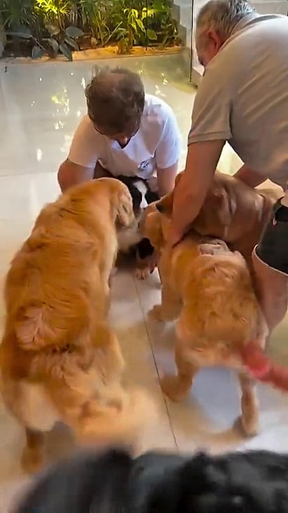 Sophie foi muito bem recebida.