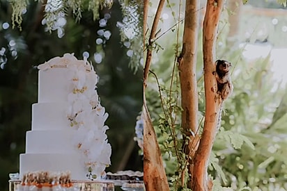 “A mesa do bolo estava perfeita até ele chegar”