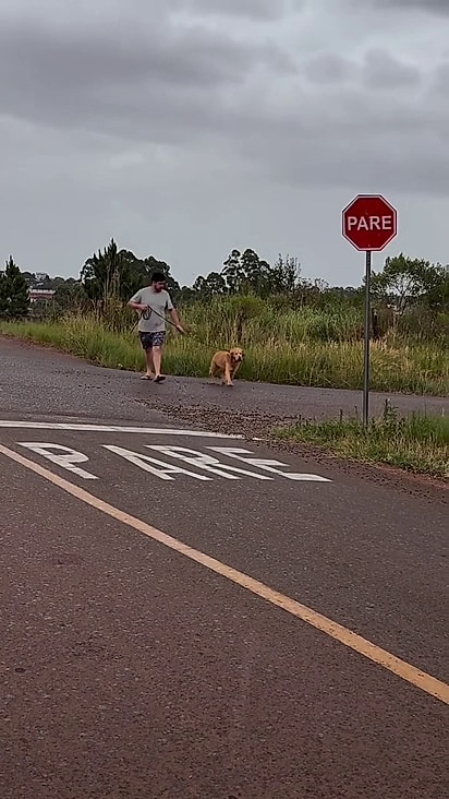 O noivo de Alexia precisou levá-lo a pé.