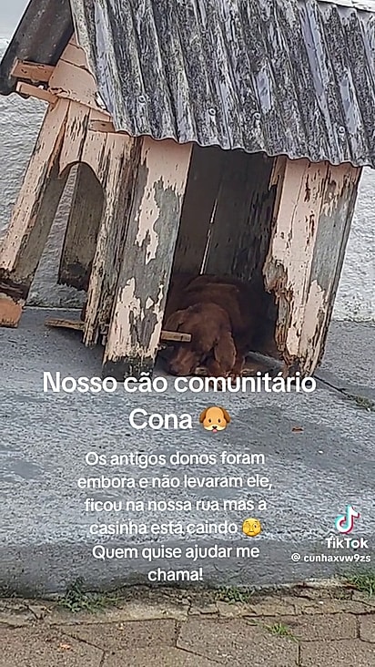 A casinha do cão estava toda quebrada.