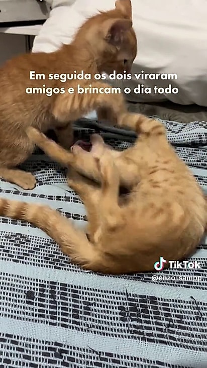 Os dois se deram muito bem.