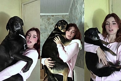 “Não foi porque eu quis”: jovem acolhe 13 animais e história viraliza na internet.