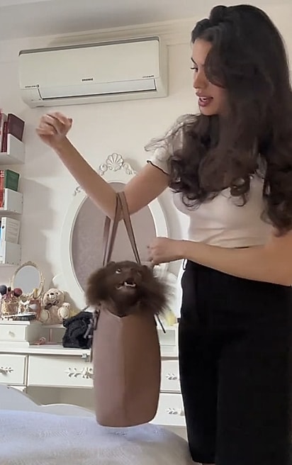 A cachorrinha da raça lulu da pomerânia que simplesmente ama passear desse jeito.