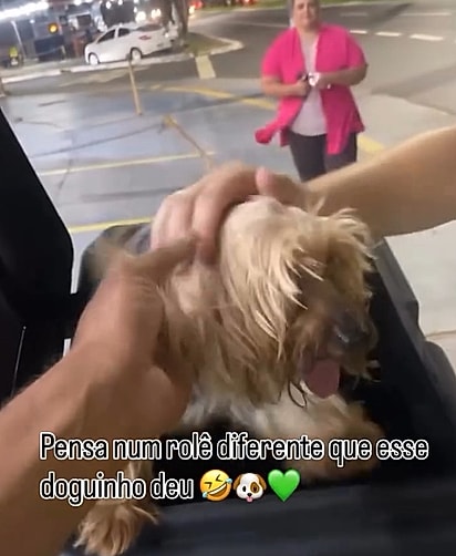 O cachorrinho voltou para a sua família.