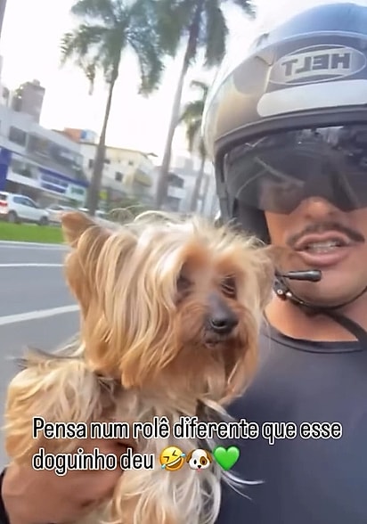 O cachorrinho tinha fugido e foi resgatado pelo motoboy.