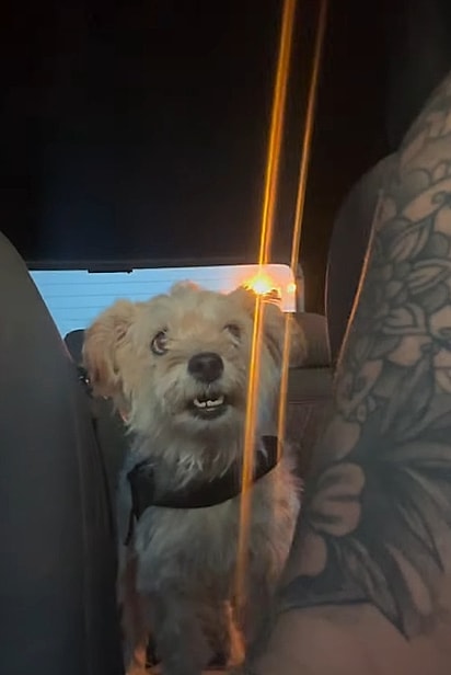 Rufina parecia conversar.