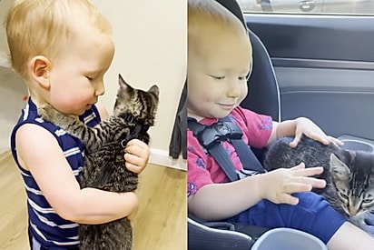Ao gravar os primeiros momentos do filho com filhotinho escolhido em abrigo, mãe acaba capturando cena mágica