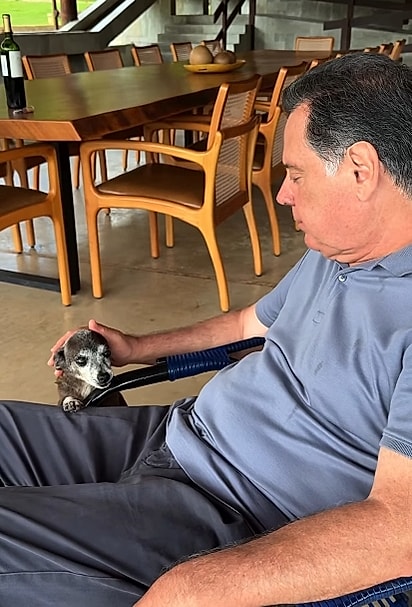 A pata amputada não limita a vida de Urso.