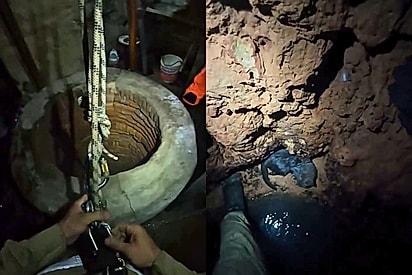 “Toda vida importa”: Gato Cícero cai em poço profundo na madrugada e bombeiros enfrentam a noite para salvá-lo