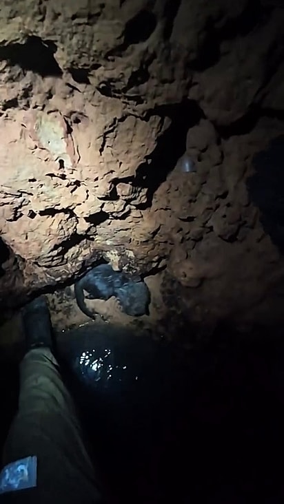 O gatinho estava em uma área seca mas não conseguia voltar para a casa.