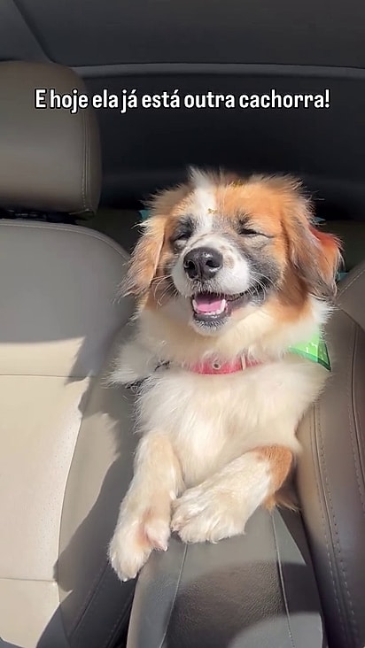 Luna percebeu que podia confiar nas pessoas que a haviam resgatado.