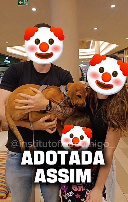 Vick foi adotada quando era filhote.