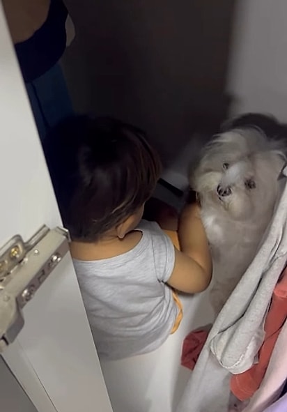 Cachorrinha Ricota e Augusto.