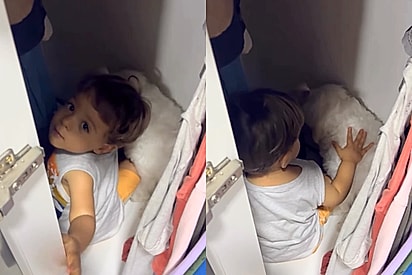 “Já sabe o que é amor”: Assustado com as trovoadas, cão se esconde e menininho entra no armário para confortá-lo com carinho