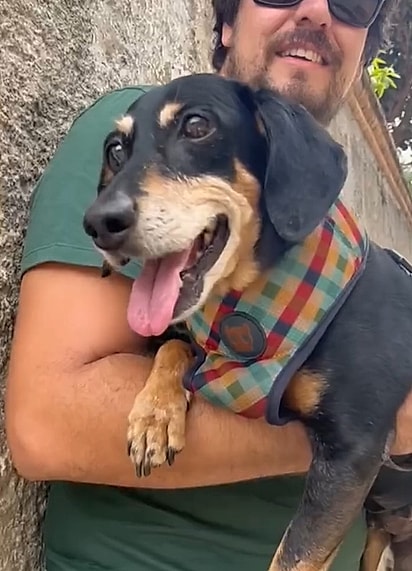 Rafael Sette Câmara mudou o jeito de viajar para que Whisky pudesse acompanhá-lo.