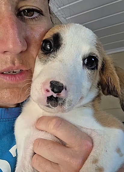 Narizinho recebeu uma chuva de comentários apaixonados.