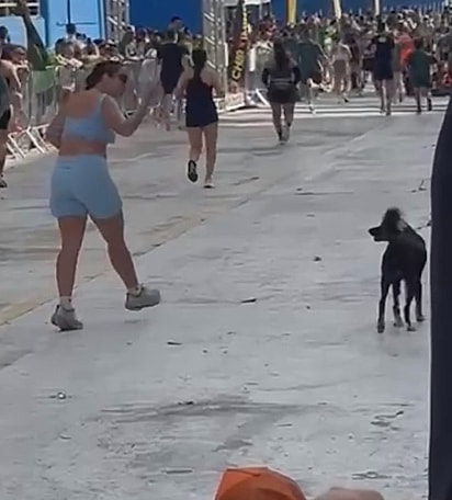 Bea tirando satisfação com o cachorro.