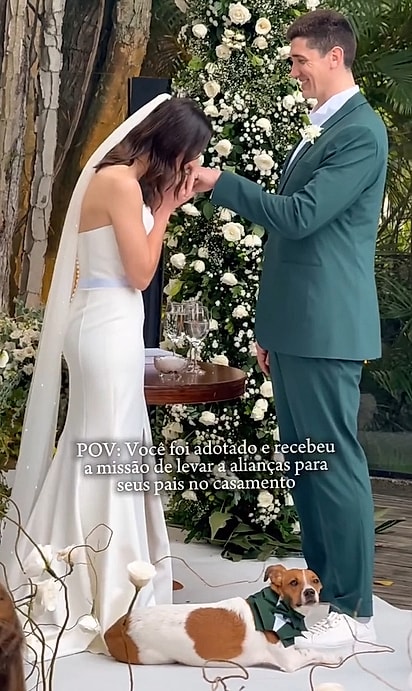 O cachorrinho Hector participou da cerimônia de casamento dos seus tutores.