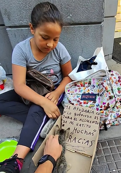 Manuel Nuñez ficou comovido com a cena da menina e o seu gatinho.