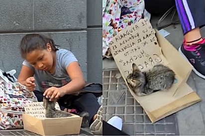 “Que a vida te trate como você trata os animais”: Homem ajuda menina que pedia comida para gatinho e emociona a web.