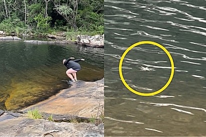 “Situação ficou tensa”: Casal vê animal imóvel sobre a água e entra em pânico quando ele corre em sua direção.