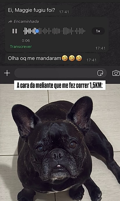 Luiz Felipe recebeu um áudio engraçado com a descrição da Maggie.