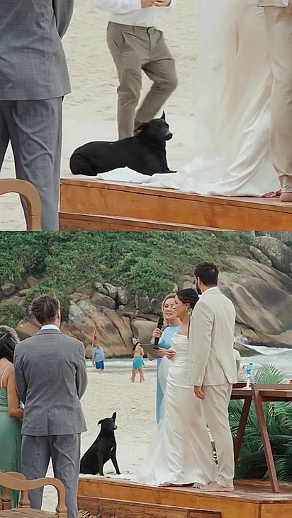 Orelha assistiu os votos do casal.