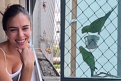 Falaram que eu não ia conseguir: Moça consegue transformar sua janela no point do pássaros do bairro e resultado impressiona
