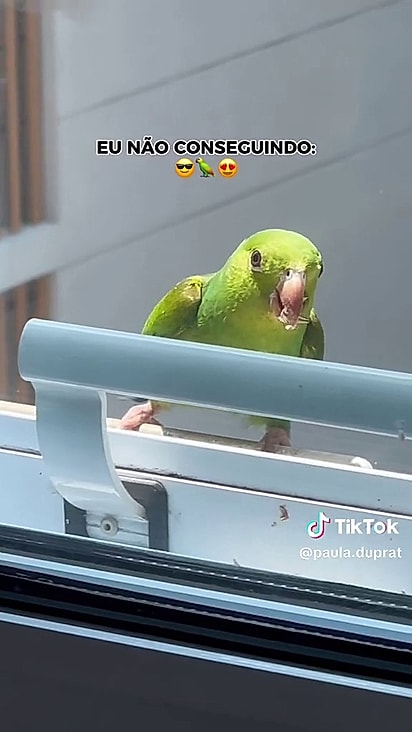 A janela de Paula nunca mais foi sem graça.