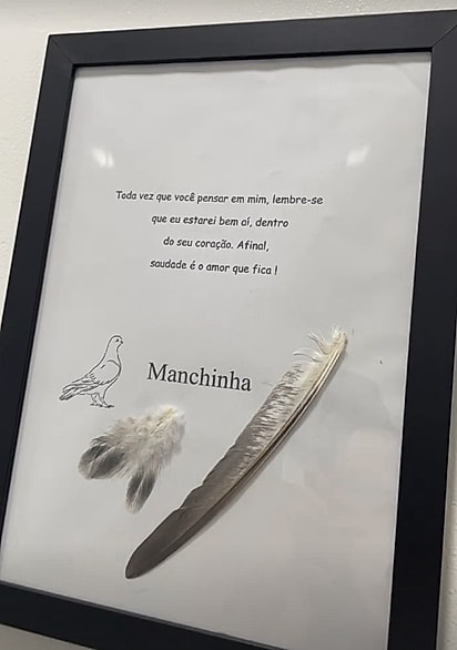 Homenagem que a médica veterinária Joyce Freschi Darú fez para o Manchinha.