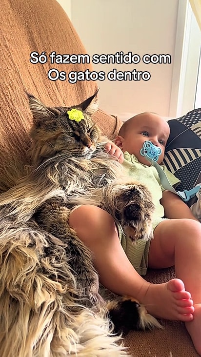 Mavie é a mãe bichológica de Vinícius.