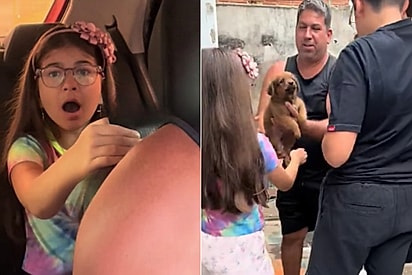 Irmãos não sabiam, mas estavam prestes a conhecer os seus melhores amigos para sempre: Eles nos escolheram.