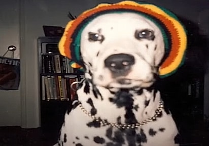 Lou Dog, um dálmata que foi um dos maiores símbolos do grupo. 