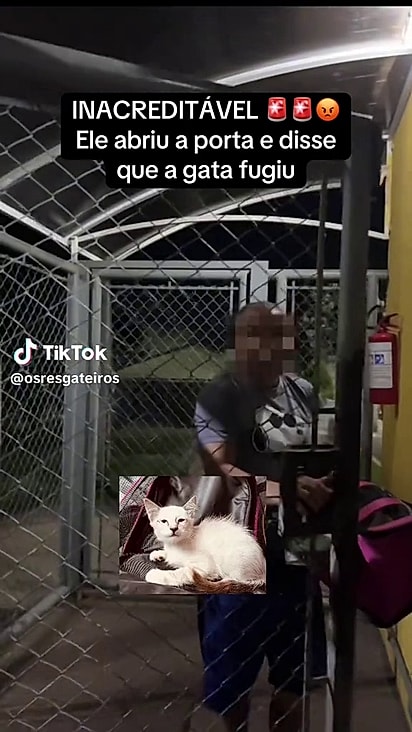 A gata fugiu e o casal não comunicou os protetores.
