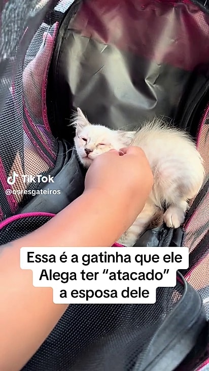 Até o momento ela não foi encontrada.