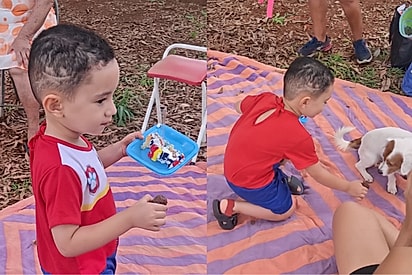 O melhor amigo ganha a primeira fatia: criança surpreende família ao dividir bolo de aniversário com cão de estimação.