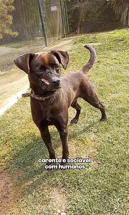 Oscar passou por várias cirurgias para reconstruir o rosto e recomeçar.