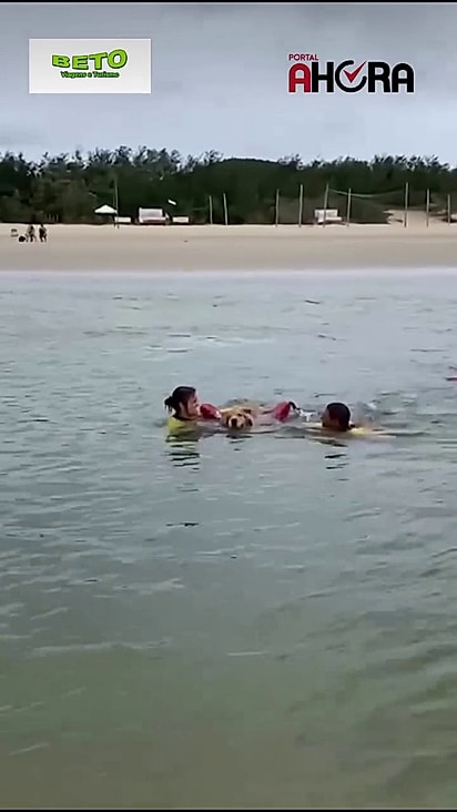 Os dois cães foram retirados do mar.