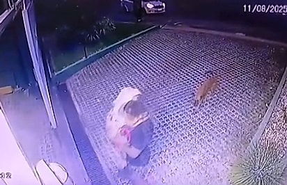 Ela encontrou Bebezão enquanto passeava com o cão.