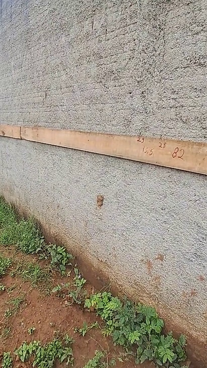 O filhote estava preso dentro do ninho.