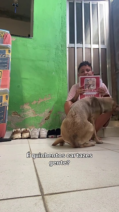 Miguel não desistiu de procurar por ela.