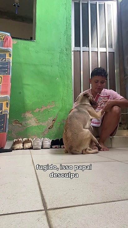 Mel foi encontrada 2km do local de onde fugiu.