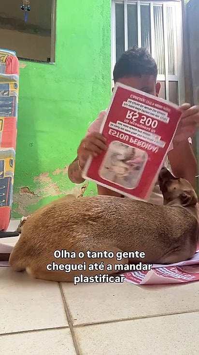 A cachorrinha retornou para a casa do protetor.