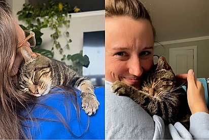 Ninguém a escolhia: Moça adota gata idosa que passou dois anos em abrigo e ganha o ronronar mais amoroso todos os dias