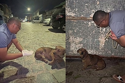 Está com os olhos cheios de lágrimas: Protetor tem conversa com cachorra que não aceitava ajuda e ela entende cada palavra
