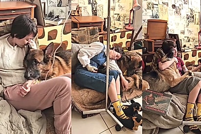 “Eles salvaram minha vida”: tutora emociona ao falar do amor pelos seus cães da raça pastor alemão.