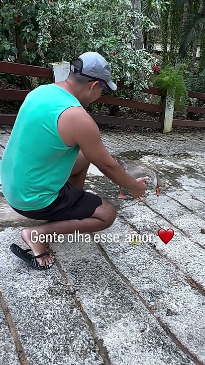 O animal aprendeu a confiar no homem.