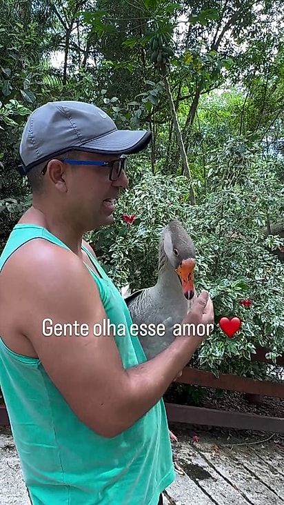 Chico adora ganhar abraços.