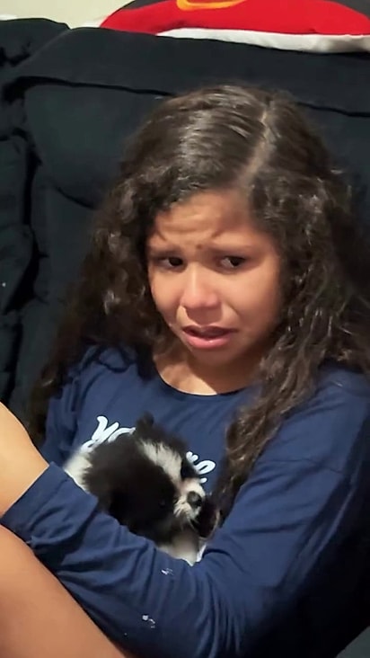 Rocket Panda foi recebido com muita emoção.